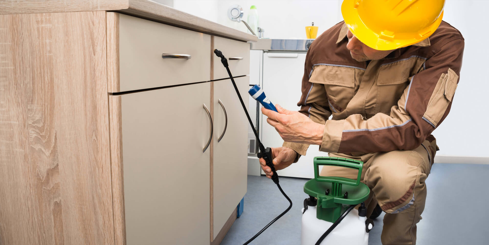 //lenenvironmentalpestcontrol.com/wp-content/uploads/2016/05/professional-pest-control.jpg